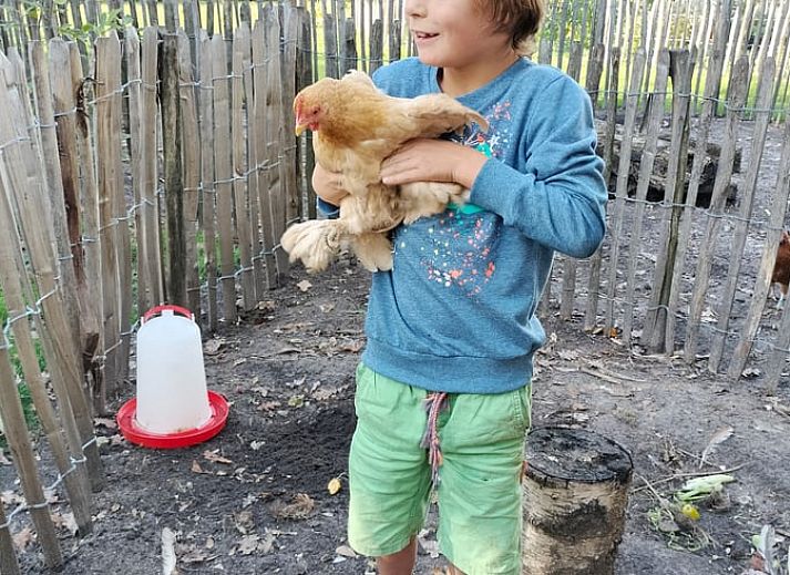 Comfortable living room in Cottage in Kaatsheuvel, vacation home in Kaatsheuvel, North Brabant.