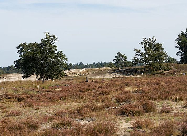 Unterkunft 422579 - Ferienhaus Hart van Brabant - Huisje in Kaatsheuvel