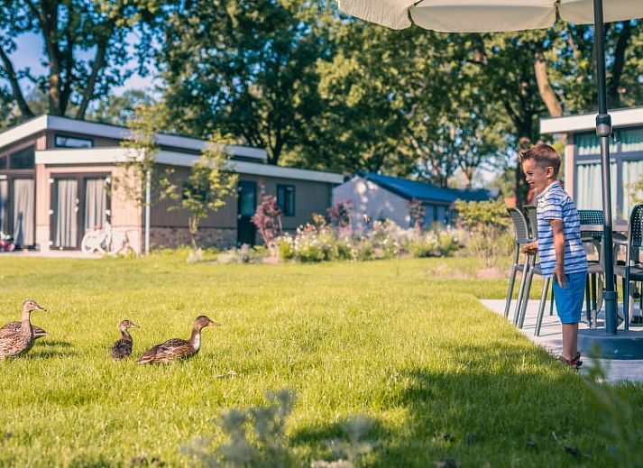 Moderne architectuur van Vakantiehuis Velthorst 4 in de rustige omgeving van Kaatsheuvel, Hart van Brabant.