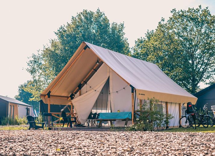Unterkunft 422588 • Zelthaus Hart van Brabant • Glampingtent