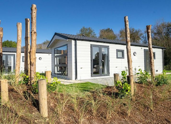 Gezellige eetruimte in Vakantiehuis Berkel 4, Kaatsheuvel, Hart van Brabant, met moderne inrichting en kleurrijke bloemen.