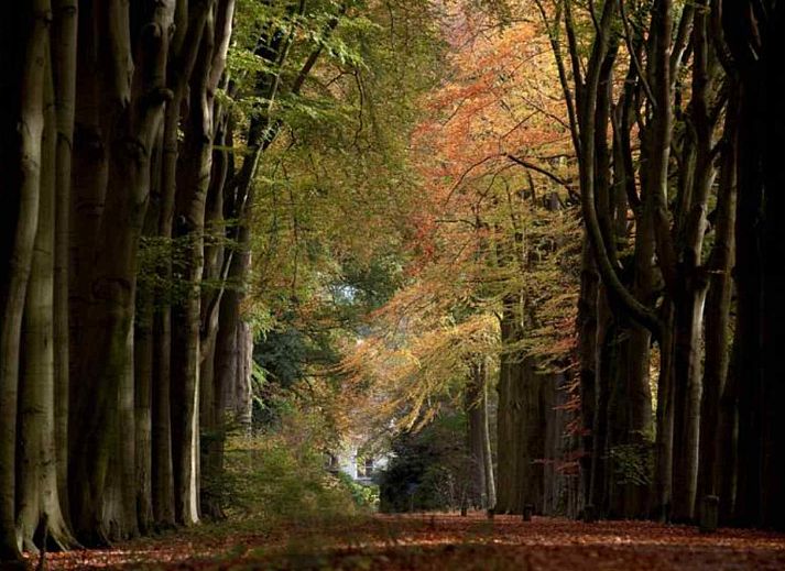 Schlafzimmer mit zwei Einzelbetten im Ferienhaus NB017, Vught, Noord Brabant.