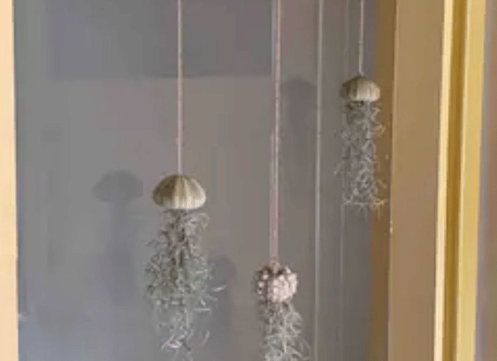 Guest house 422609 - Holiday property Hart van Brabant - Vakantiehuisje in Vught