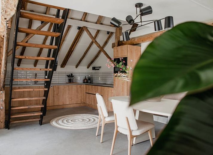 Geniessen Sie die Terrasse des Ferienhauses in Leende, gelegen im Herzen von Brabant, Nordbrabant, mit herrlichem Blick auf die Natur.