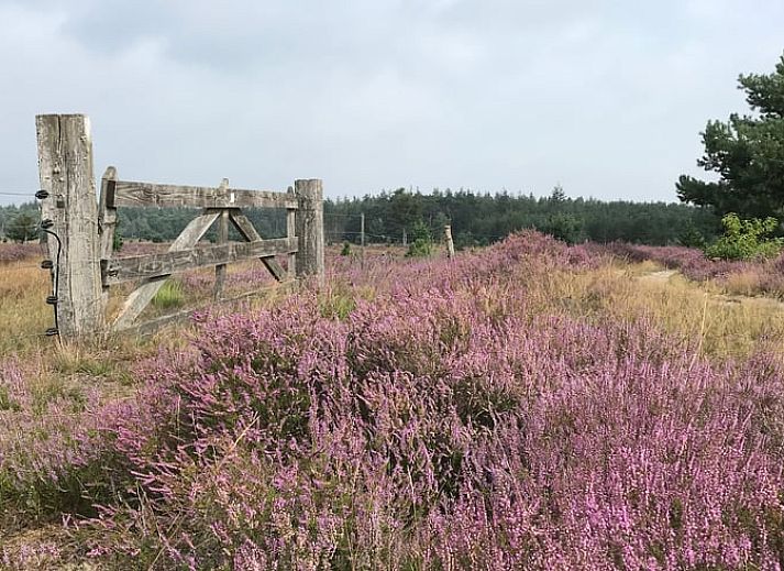 Stilvolle Einrichtung des Ferienhauses in Leende, im Herzen von Brabant. Moderne Einrichtung in diesem Ferienhaus in Nordbrabant.