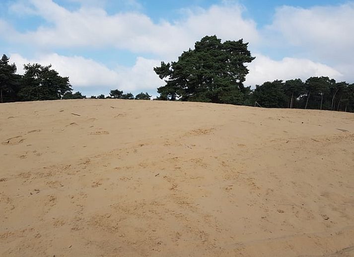 Stilvolle Einrichtung des Ferienhauses in Leende, im Herzen von Brabant. Moderne Einrichtung in diesem Ferienhaus in Nordbrabant.
