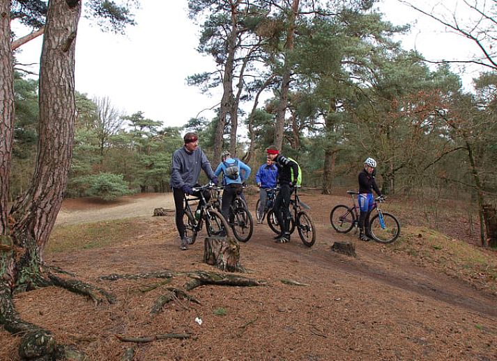 Stilvolle Einrichtung des Ferienhauses in Leende, im Herzen von Brabant. Moderne Einrichtung in diesem Ferienhaus in Nordbrabant.