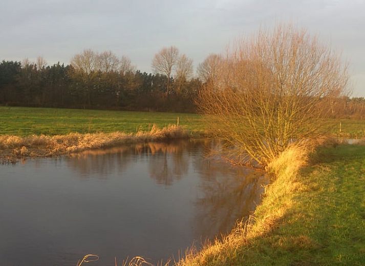 Gastvrije eigenaren van vakantiehuis in Leende, gelegen in het Hart van Brabant, Noord Brabant.