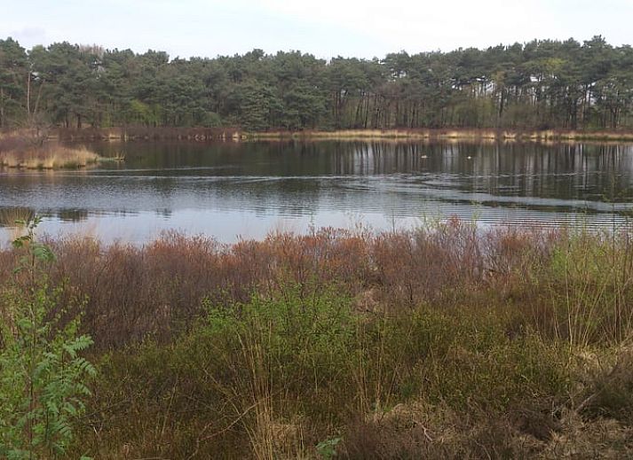 Vakantiehuis in Leende met groene tuin en blauwe lucht, ideaal gelegen in Hart van Brabant, Noord Brabant.