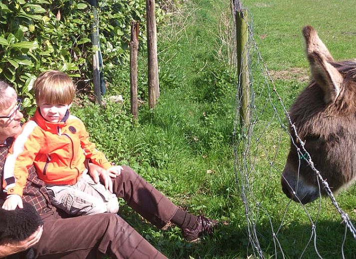 Gezellige slaapkamer in vakantiehuis in Leende, Hart van Brabant, Noord Brabant, met houten interieur.
