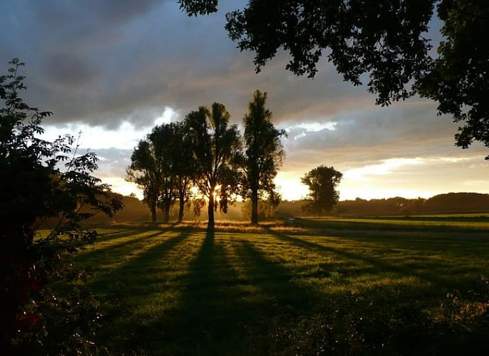 Gezellige slaapkamer in vakantiehuis in Leende, Hart van Brabant, Noord Brabant, met houten interieur.