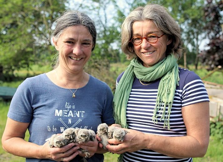 Gezellige slaapkamer in vakantiehuis in Leende, Hart van Brabant, Noord Brabant, met houten interieur.
