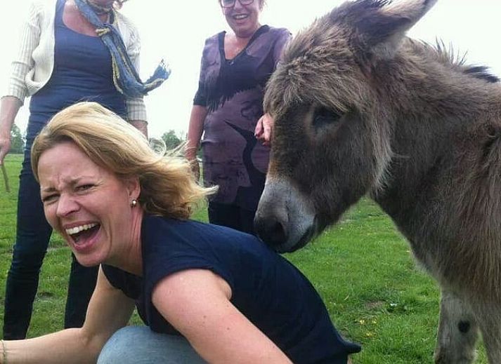 Gezellige slaapkamer in vakantiehuis in Leende, Hart van Brabant, Noord Brabant, met houten interieur.