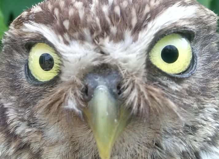 Comfortabele woonkamer in vakantiehuis in Leende, Hart van Brabant, Noord Brabant, met moderne inrichting.