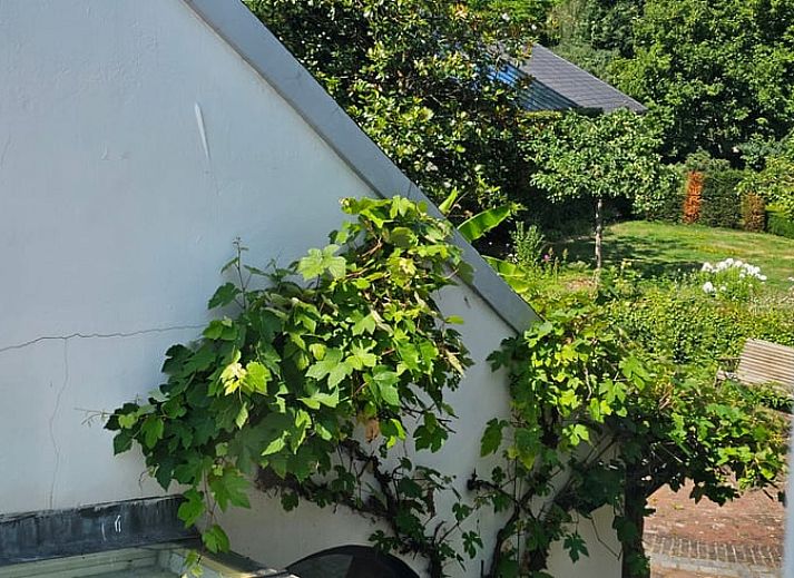 Unterkunft 423012 - Ferienhaus Hart van Brabant - Vakantiehuis in Leende