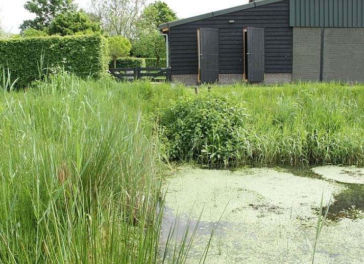 Guest house 424308 - Holiday property Hart van Brabant - Vakantiehuisje in Hank