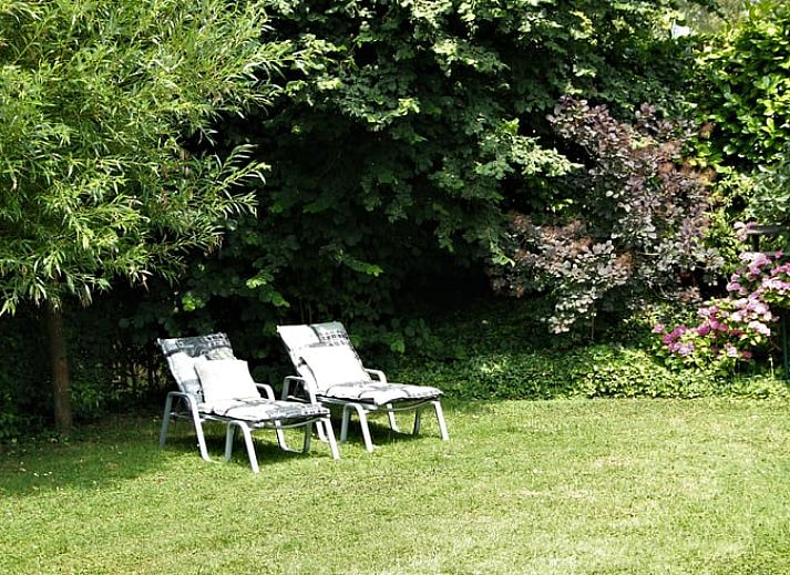 Guest house 424308 - Holiday property Hart van Brabant - Vakantiehuisje in Hank