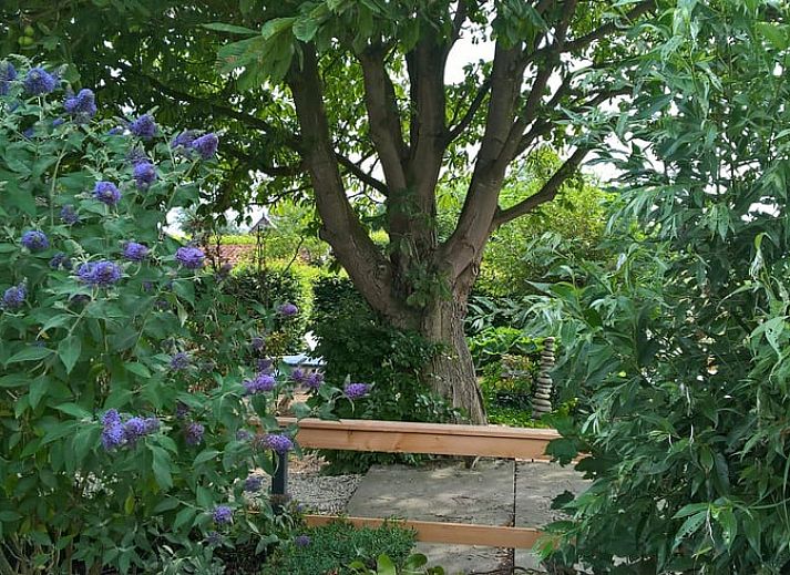 Comfortable sitting area in Cottage in Hank, vacation home in Heart of Brabant, North Brabant, ideal for relaxation.