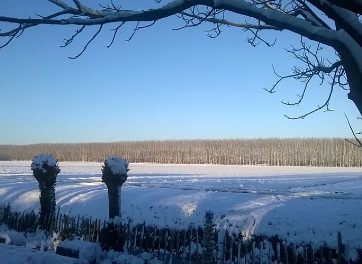 Cozy bedroom in Cottage in Hank, vacation home in Heart of Brabant, North Brabant, with comfortable bed.