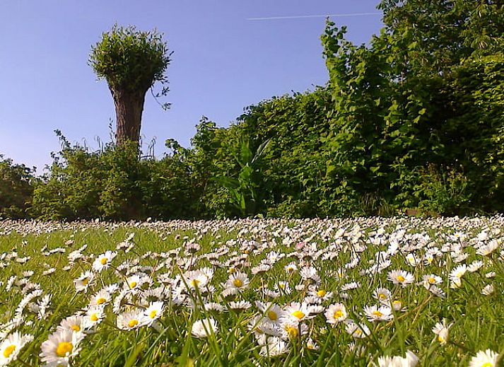 Spacious kitchen and dining area in Cottage in Hank, vacation home in Heart of Brabant, North Brabant, perfect for cozy cooking.