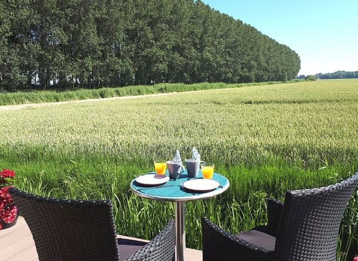 Guest house 424314 - Holiday property Hart van Brabant - Vakantiehuisje in Hank