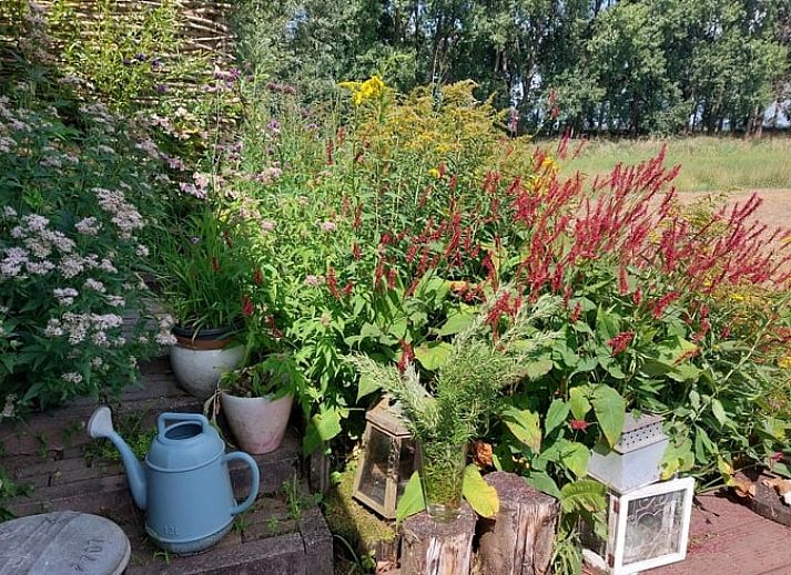Guest house 424314 - Holiday property Hart van Brabant - Vakantiehuisje in Hank