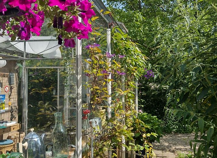 Verblijf 424316 - Vakantiewoning Hart van Brabant - Vakantiehuisje in Hank