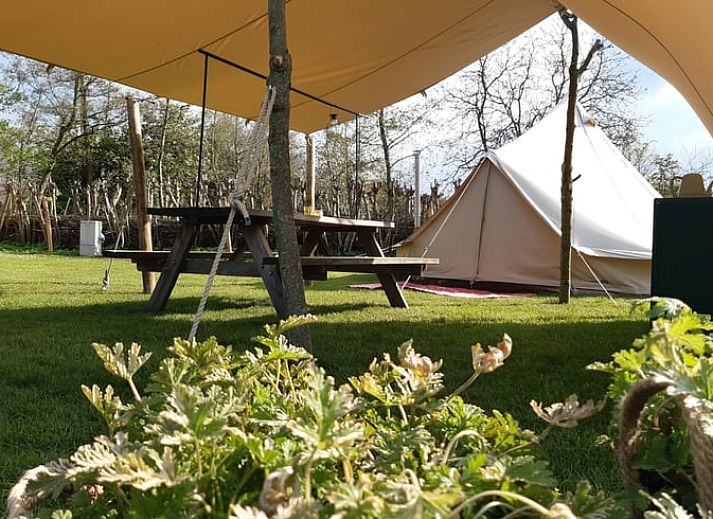 Guest house 424412 • Holiday property Hart van Brabant • Vakantiehuis in Berlicum