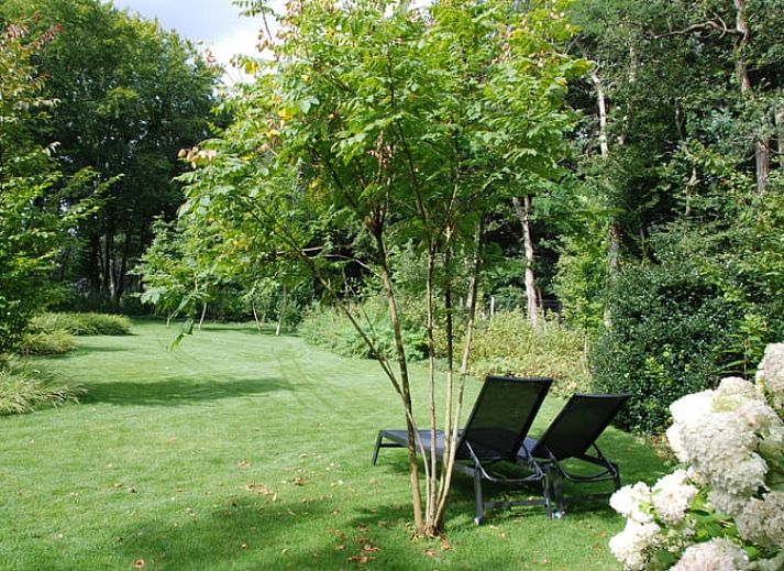 Vakantiehuis Huisje in Helvoirt in een bosrijke omgeving, Hart van Brabant, Noord Brabant.