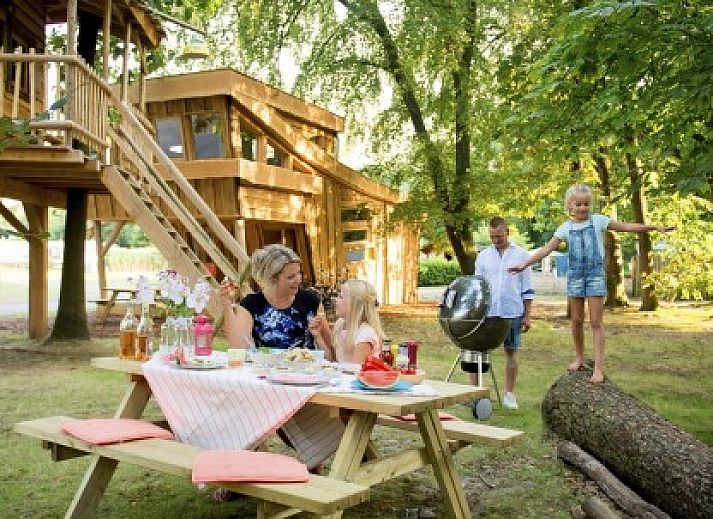Guest house 425201 • Special overnight stays Hart van Brabant • boomhut 6 personen