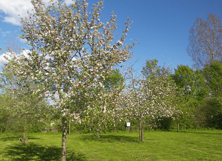 Ferienhaus in Gemonde, Nord-Brabant, umgeben von ueppiger Natur und einem Regenbogen, ideal fuer Naturliebhaber.