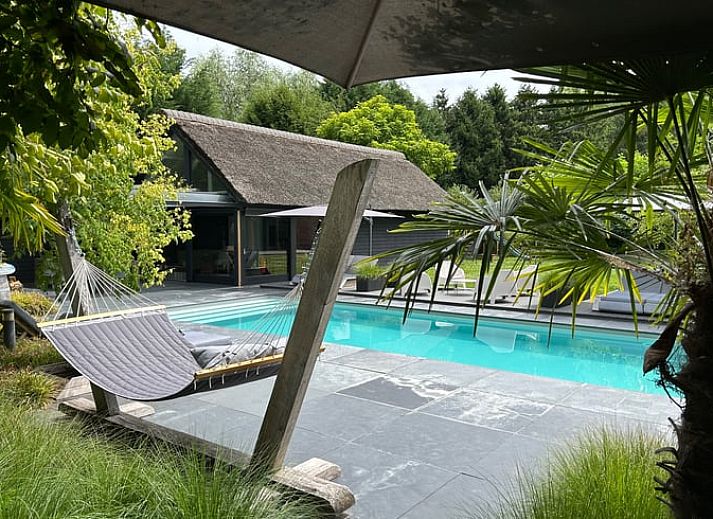 Ontspan bij het zwembad van Huisje in Boxtel, een vakantiehuis in Hart van Brabant, Noord Brabant, omgeven door weelderige natuur.