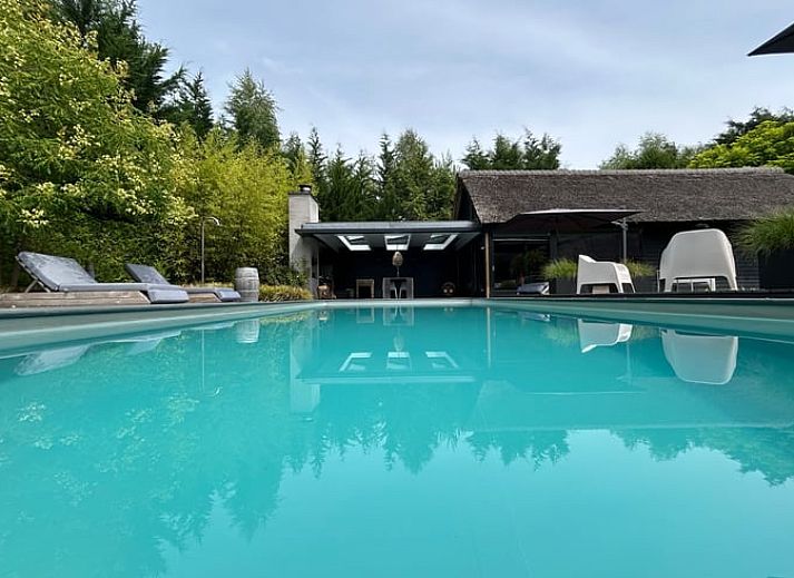 Ontspan bij het zwembad van Huisje in Boxtel, een vakantiehuis in Hart van Brabant, Noord Brabant, omgeven door weelderige natuur.