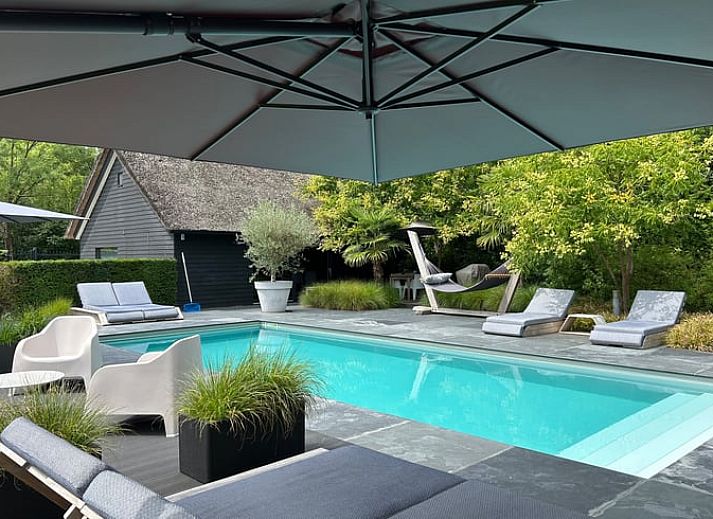 Ontspan bij het zwembad van Huisje in Boxtel, een vakantiehuis in Hart van Brabant, Noord Brabant, omgeven door weelderige natuur.