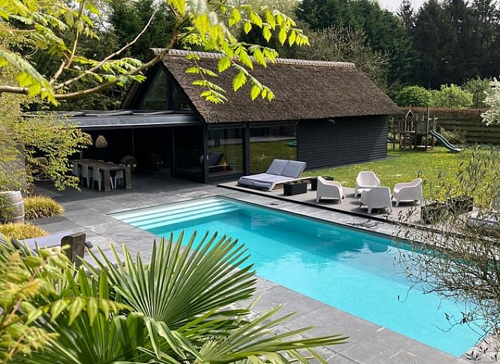 Ontspan bij het zwembad van Huisje in Boxtel, een vakantiehuis in Hart van Brabant, Noord Brabant, omgeven door weelderige natuur.