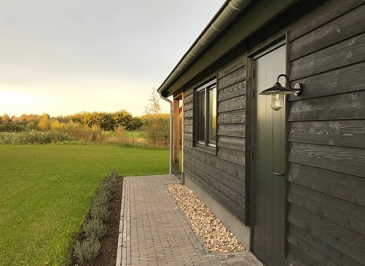 Stylishly decorated living room of Holiday home in Boxtel, North Brabant, with comfortable furniture and a flower wall.