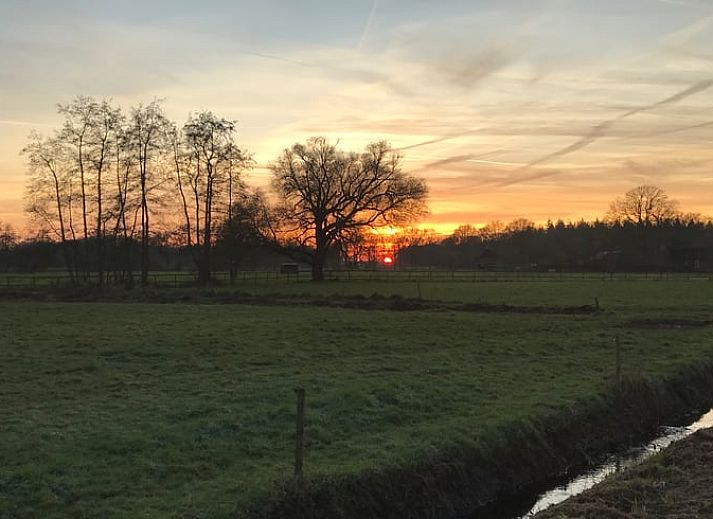 Charming wooden porch of Holiday home in Boxtel, located in the green heart of Brabant.
