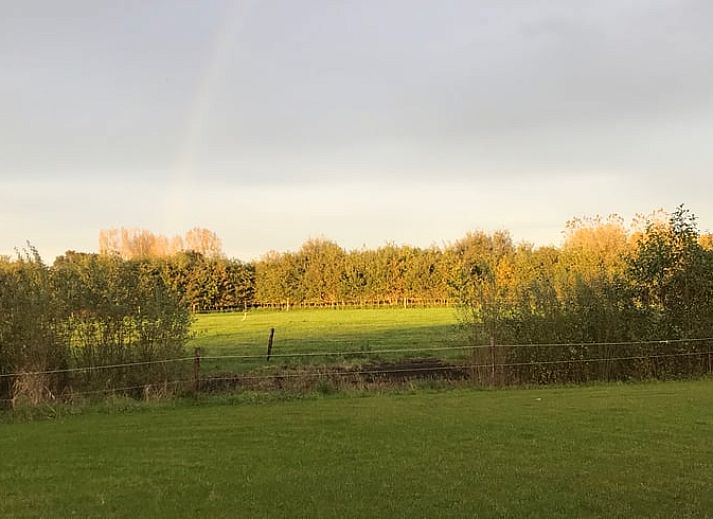 Charming wooden porch of Holiday home in Boxtel, located in the green heart of Brabant.