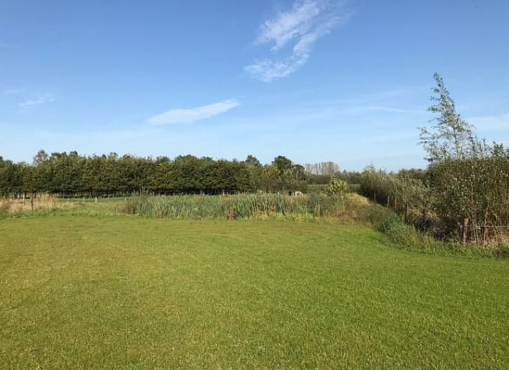 Side view of cottage in Boxtel, surrounded by nature in North Brabant, with an inviting path.