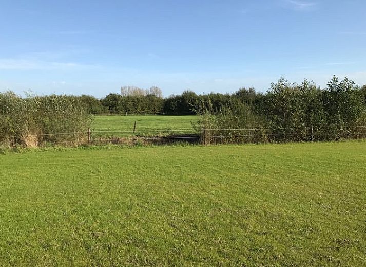 Side view of cottage in Boxtel, surrounded by nature in North Brabant, with an inviting path.