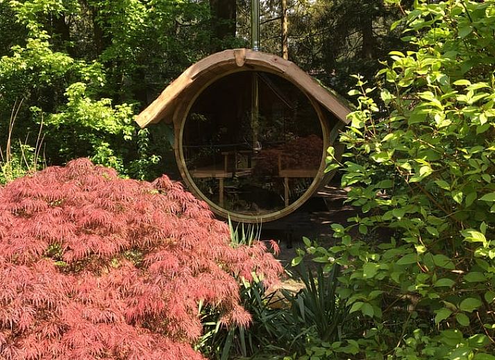 Vakantiehuis in Nuenen, een sfeervolle chalet in Hart van Brabant, Noord Brabant, omgeven door weelderige natuur.