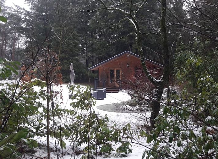 Veranda van Vakantiehuis in Nuenen, een rustieke chalet in Hart van Brabant, Noord Brabant, omgeven door groen.