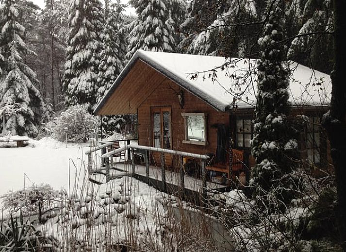 Veranda van Vakantiehuis in Nuenen, een rustieke chalet in Hart van Brabant, Noord Brabant, omgeven door groen.