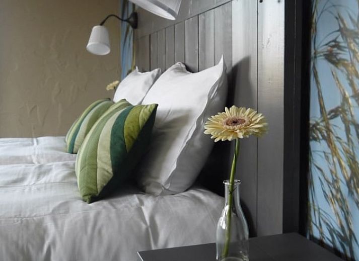 Guest house 426204 - Holiday property Hart van Brabant - Vakantiehuis in Helenaveen