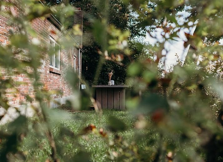 Guest house 426205 - Holiday property Hart van Brabant - Huisje in Helenaveen