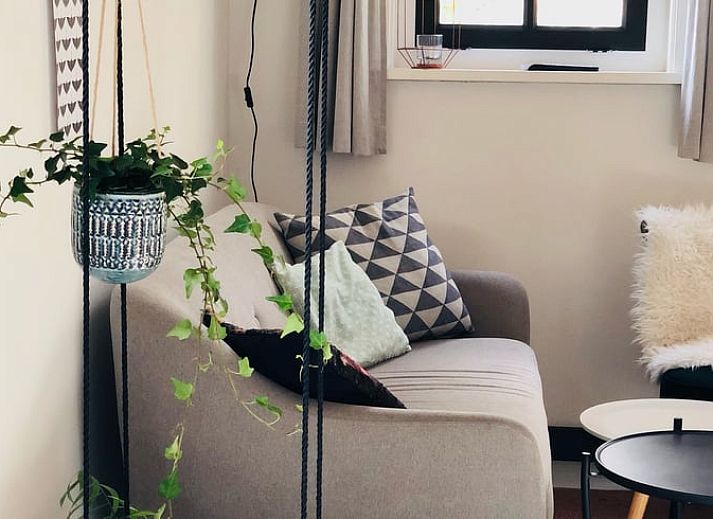 Guest house 426205 - Holiday property Hart van Brabant - Huisje in Helenaveen