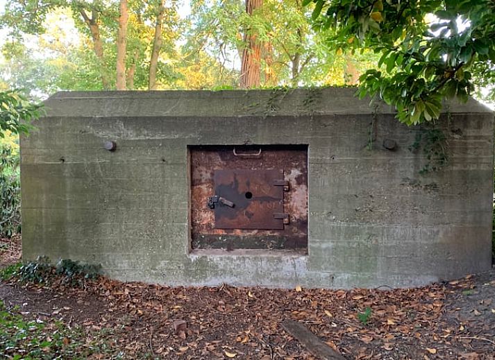 Guest house 426205 - Holiday property Hart van Brabant - Huisje in Helenaveen