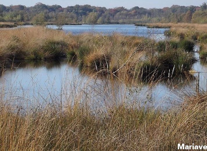 Guest house 426205 - Holiday property Hart van Brabant - Huisje in Helenaveen