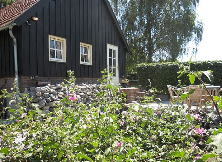 Unterkunft 426206 - Ferienhaus Hart van Brabant - Vakantiehuis in Helenaveen