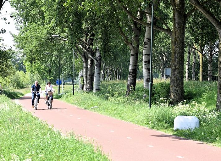 Unterkunft 426309 - Ferienhaus Hart van Brabant - Vakantiehuisje in Sint-Michielsgestel